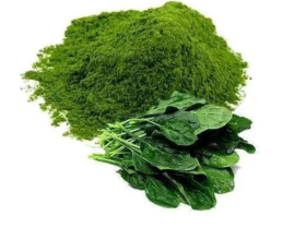 Spinach Powder